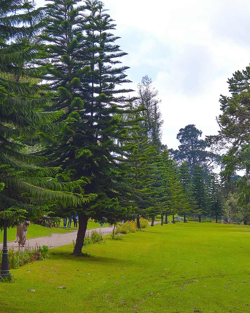 Victoria-Park-800